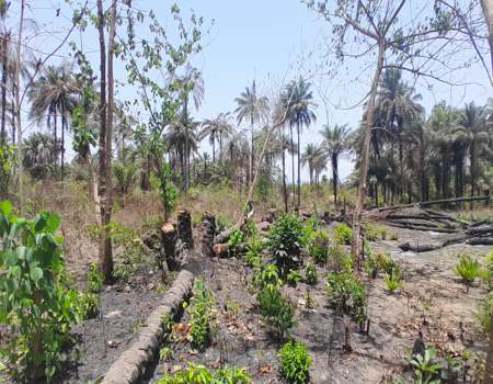 Terrain De 450 M² En Vente À Kagbélen